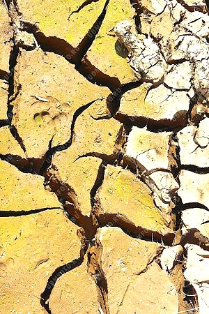 засуха,экология,потрескавшаяся земля