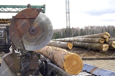 Вавожский район,ООО Какможлес,лесозаготовка,пилорама,древесина,деревообрабатывающая промышленность