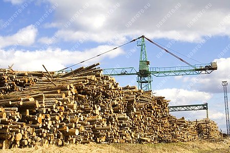 Вавожский район,ООО Какможлес,кран,лесозаготовка,древесина,деревообрабатывающая промышленность
