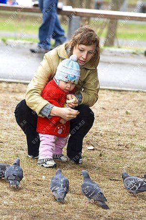 мать,дети,птица,голубь