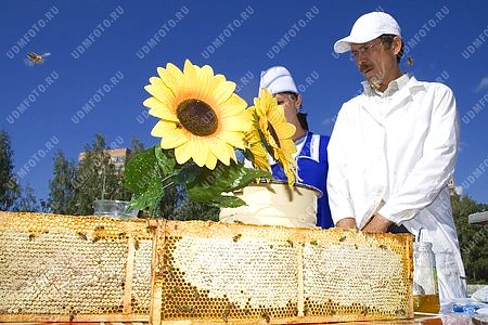 медовый спас,торговля,мед,соты,пчела,продавец,мужчина
