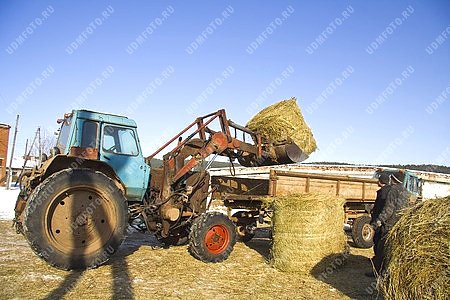 трактор,сельское хозяйство,сено,корм,сельхозтехника,сельскохозяйственная техника,животноводство