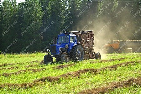 трактор,уборка льна,лен,сельхозтехника,сельскохозяйственная техника,сельское хозяйство