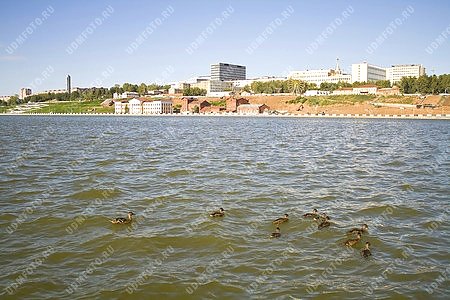 город Ижевск,вода,Ижевский пруд,птица,утка,панорама