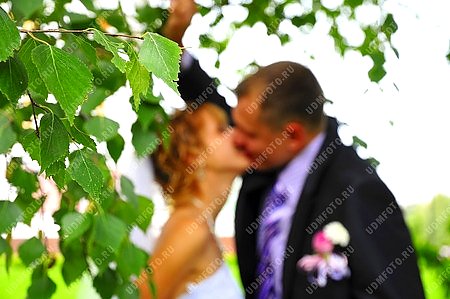 пара,любовь,двое,жених,невеста,свадьба,молодежь,цветы,цветок,поцелуй