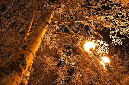 иней,зима,времена года,природа,снег,дерево,береза,фонарь