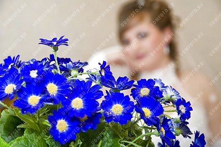 свадьба,невеста,цветы,цветок