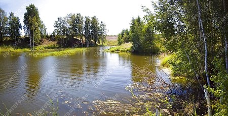 муниципальное образования Сюгаильское,природа,река Сюга,вода